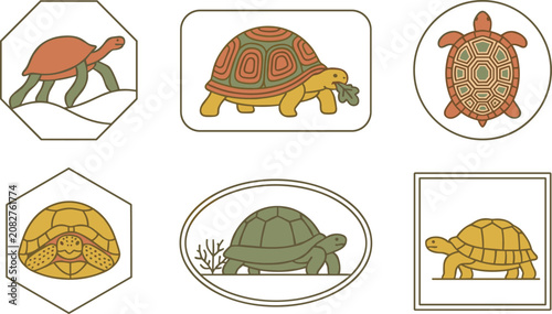 Foto Tortoise and Turtle Badge Collection Featuring Land Tortoise, Shell Anatomy, Wil