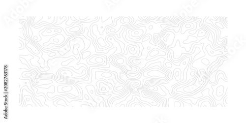Slika na platnu Seamless Topographic Contour Map with Detailed Geographic Relief and Mountain El