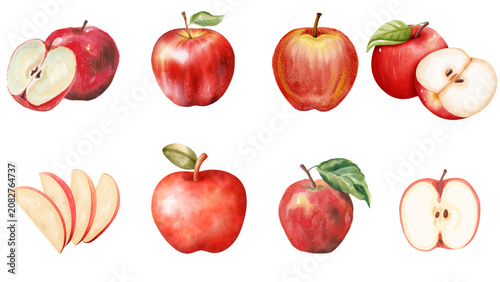 Watercolor Red Apple Set with Whole, Halved, and Sliced Apples