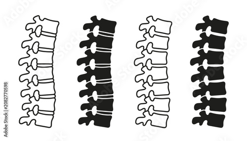 Photos Human spine backbone vector illustration set