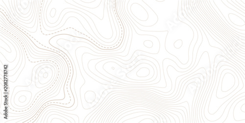 Stylized topographic contour map with space for text.Retro topographic map. Geographic contour map.Business concept. Vector illustration.