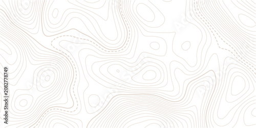 Stylized topographic contour map with space for text.Retro topographic map. Geographic contour map.Business concept. Vector illustration.