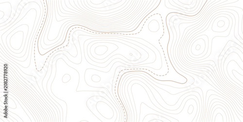 Stylized topographic contour map with space for text.Retro topographic map. Geographic contour map.Business concept. Vector illustration.