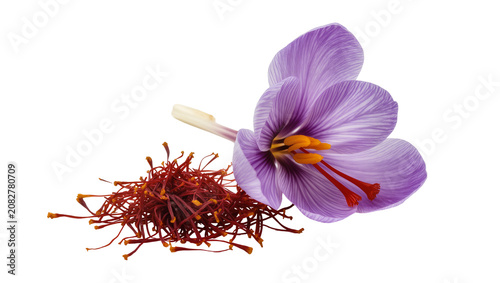 Tableau sur toile Purple saffron crocus flower with red stigmas and dried threads
