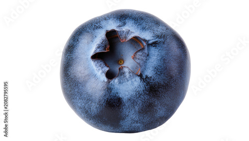 Obraz na plátně Single ripe blueberry with star-shaped calyx