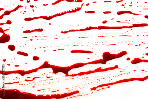 Halloween concept : Blood splatter on white background .