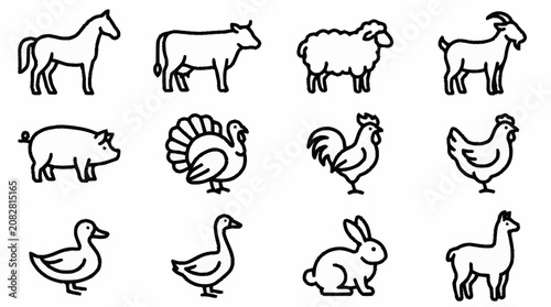 Obraz na płótnie Black and white line art of various farm animals.