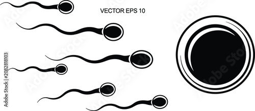 Foto Human fertilization process vector illustration with black sperm cells swimming