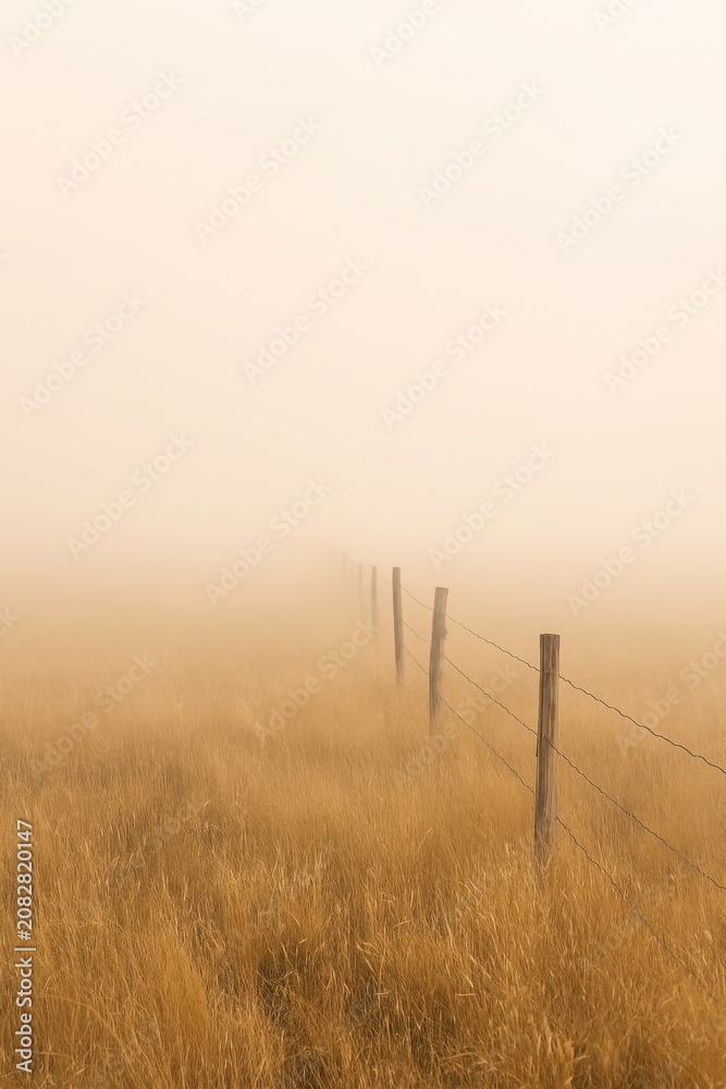 Obraz premium Serene zen atmosphere over a misty meadow with linear perspective post fencing