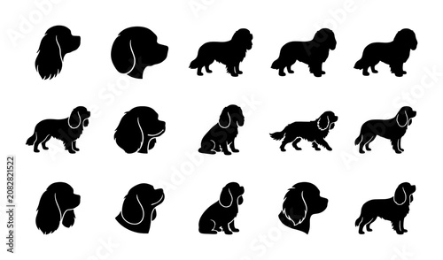 Quadro su tela Cavalier King Charles Spaniel Dog Silhouettes, Vector Icons Set, Pet Breed Graph