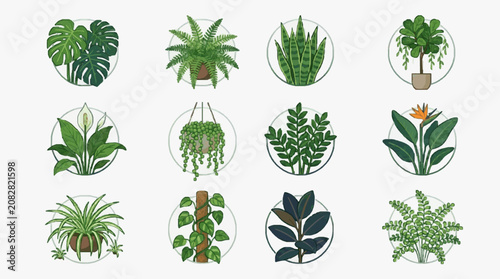 Dynamic Collection of 12 Vibrant Indoor Houseplants in Circular Frames Lush Green Leafy Plants and Floral Arrangements