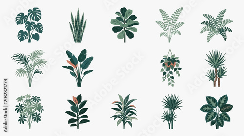Dynamic Collection of 15 Unique and Vibrant Houseplants Illustrated in Green and Earthy Tones with high quality professional line art symbols for modern creative design and digital branding projects