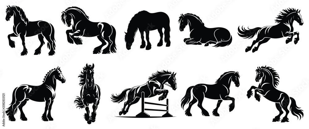 Fototapeta premium Friesian Horse Silhouettes Set, Vector Graphic Isolated Black Stallion Clip Art.