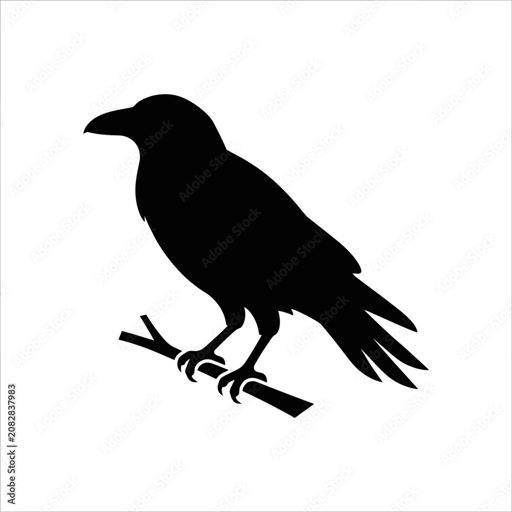 Fototapeta premium Black Crow Silhouette, Bird Icon, Raven Vector, Wildlife Illustration isolated on White Background silhouette