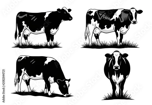 Four black and white simplified dairy cow depictions