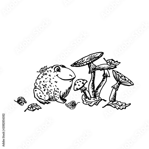 Black and white ink illustration for Halloween. A frog and poisonous mushrooms are hand drawn in a simple, childlike style. A design for greeting cards, textiles, and party posters.