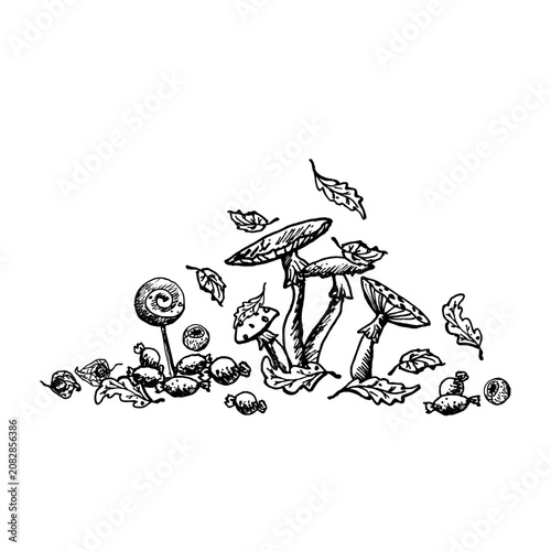 A hand drawn black and white ink illustration featuring children's style doodles for a Halloween party. Monochrome mushrooms and sweets for greeting cards, temporary tattoos for kids, and packaging.