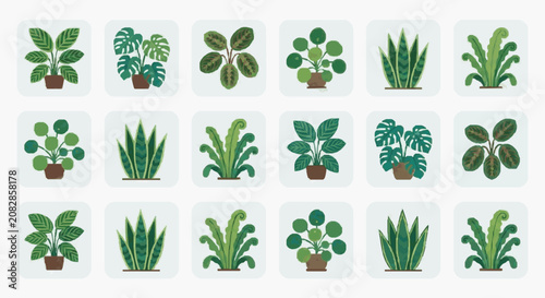 Photos Elegant Collection of 15 Vibrant Houseplants in Potted and Terrestrial Arrangeme