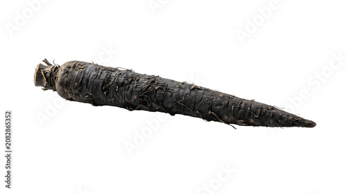 Fresh Black Salsify Root Isolated on White Background Transparent PNG Organic Root Vegetable