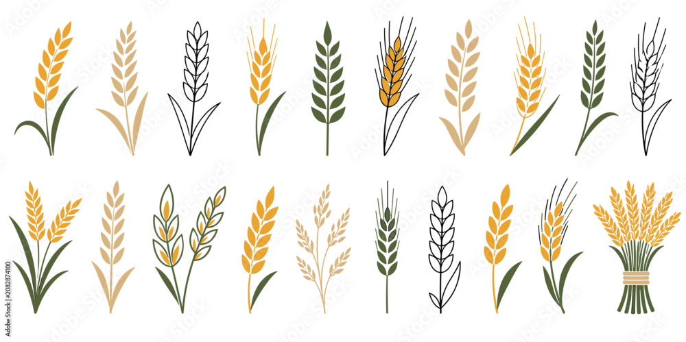 Fototapeta premium Various stylized wheat and rye ears are depicted in a collection of flat and outline vector illustrations