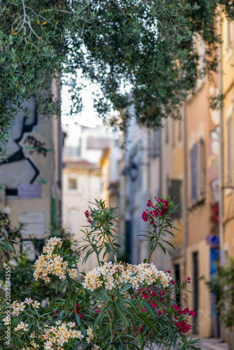 Ruelle fleurie dans le quartier du Panier à Marseille
