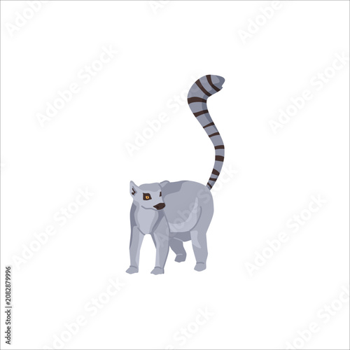 Ring-Tailed Lemur Primate Illustration