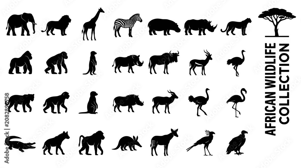 Fototapeta premium Vector collection of African wildlife animal silhouette icons including safari species like elephant lion giraffe and gorilla on white background