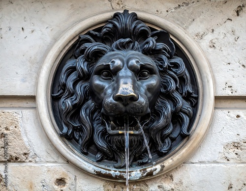 Ornate lion head fountain spout detail on textured wall