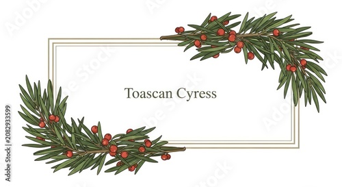 Toascan Cyress Holiday Christmas Card Border.