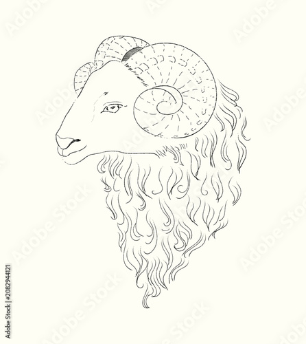 Goat Head Side Profile Hand Drawn Line Art For Chinese New Year 2027 Zodiac Symbol