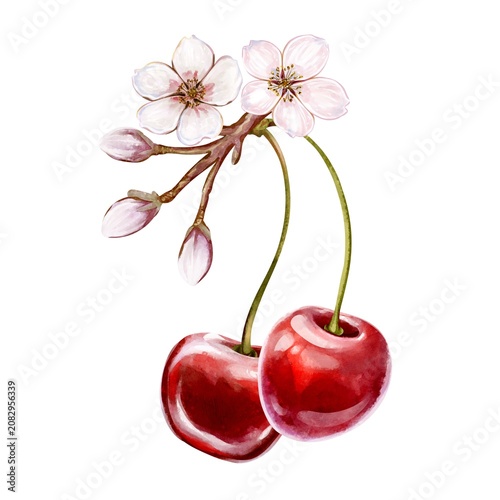 Quadro su tela Watercolor illustration of ripe juicy red cherries on a branch with blossoms and green leaves, delicate botanical composition, soft natural light, elegant summer fruit still life for design