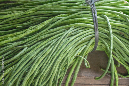 Close up detailed view of a large tied bundle of freshly harvested raw green yardlong beans resting on a wooden surface.