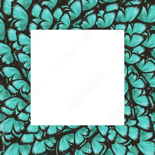 Elegant turquoise butterfly frame with centered square copy space surrounded by vibrant wings. Decorative nature background for greeting cards, invitations, social media, posters and branding