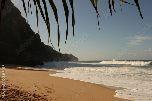 Photography Quiet beach with gentle waves beneath tropical leaves.