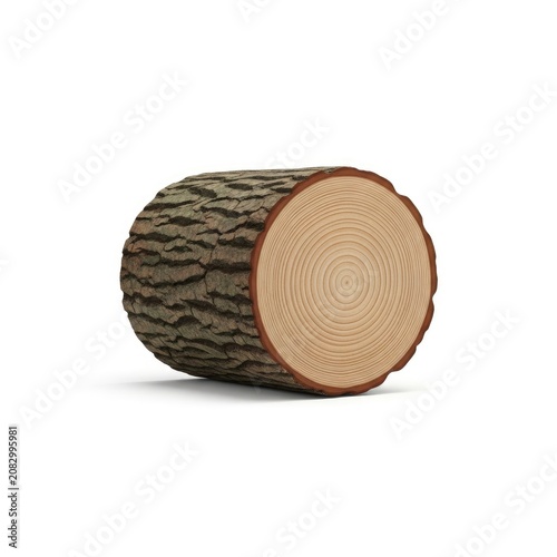 Detailed close-up of a single cut log with visible tree rings and bark texture.