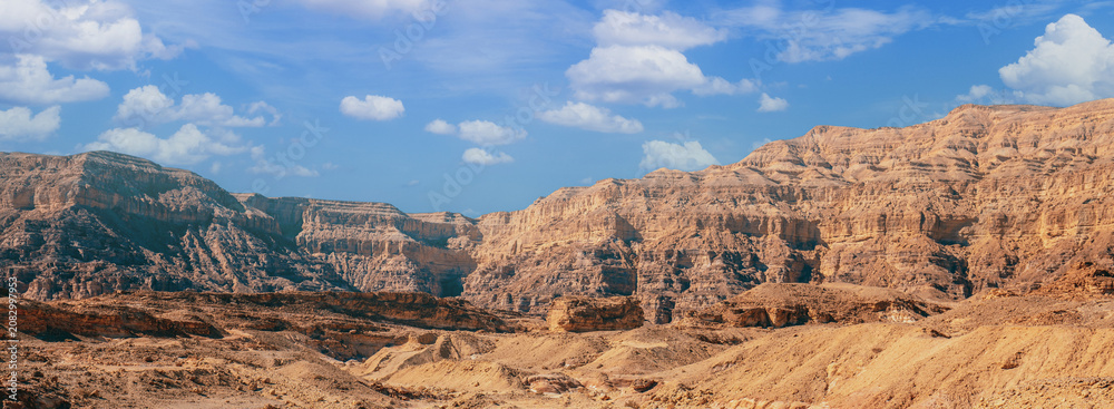 Obraz premium View of the desert on a bright sunny day. Timna Park in Arava desert near Eilat, Israel