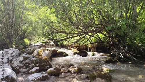 A relaxing horizontal 4K video capturing a clear rocky stream flowing through a lush green forest, filled with natural sunlight and the soothing, therapeutic sound of rushing water.
