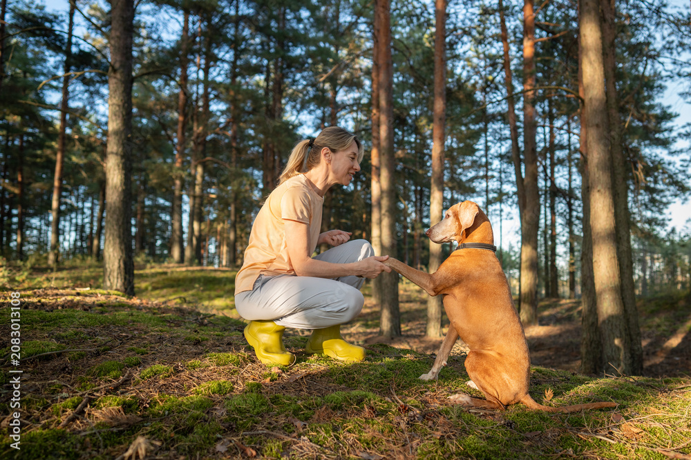 Fototapeta premium Nature harmony, companionship and leisure activity, positive confident woman playing with Vizsla dog, happy relaxed female pet owner devoting free time to beloved pet on forest getaway in autumn.