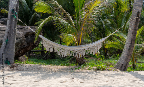 White Macrame Fringe Hammock Strung Between Palm Trees on a Tropical Sandy Beach