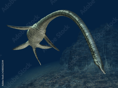 Plesiosaurier Elasmosaurus