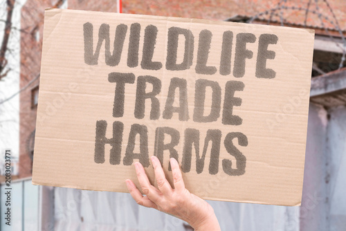 Photography "Wildlife trade harms" Buying and selling animals endangers them