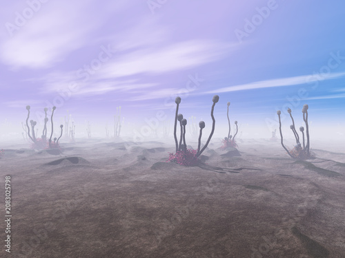Außerirdische Landschaft mit Pflanzen