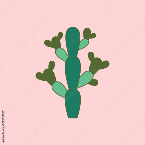 A green cactus illustration stands against a pink background