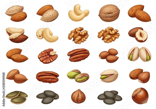 Set of different healthy organic nuts and seeds in small groups