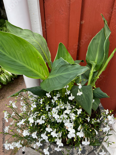 green leaves in a garden