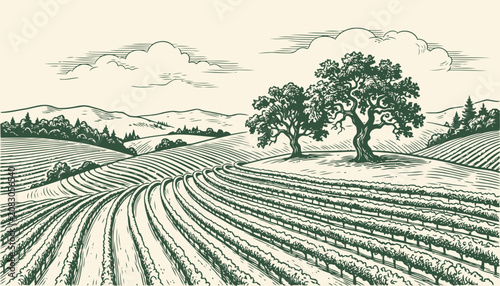 Rolling farmland with trees and cultivated fields in vintage engraving style