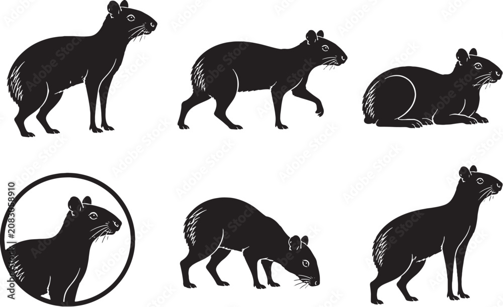 Fototapeta premium Central American Agouti Silhouette Icon Set Collection Tropical Rodent Black Vector Wildlife Symbols