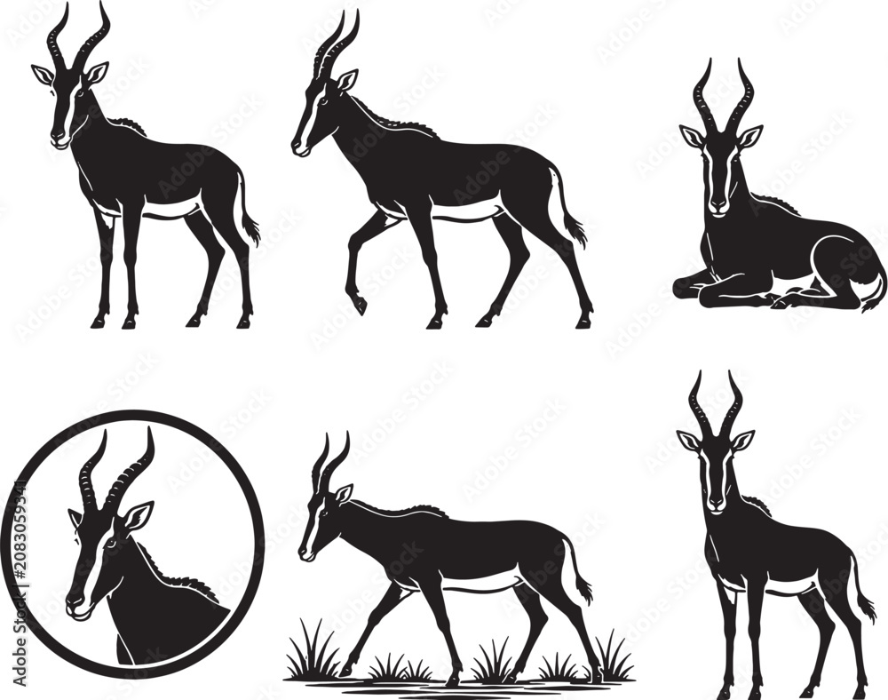 Naklejka premium Red Hartebeest Silhouette Icon Set Collection Black Vector Savanna Antelope Wildlife Symbols Isolated on White Background