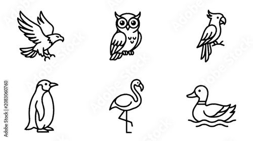 Quadro su tela Various birds including a penguin, flamingo, and duck are illustrated