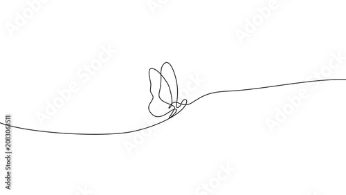 Minimalist Elegant One Line Drawing Butterfly
